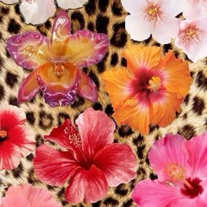 Meet your Posher, Koral